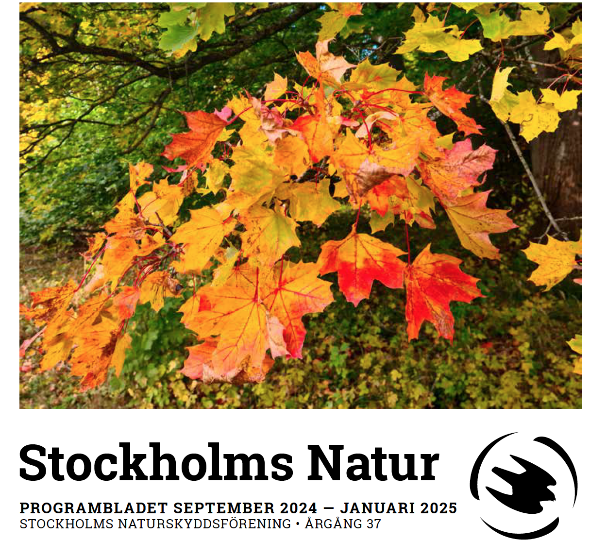 Programblad för Stockholms Naturskyddsförening