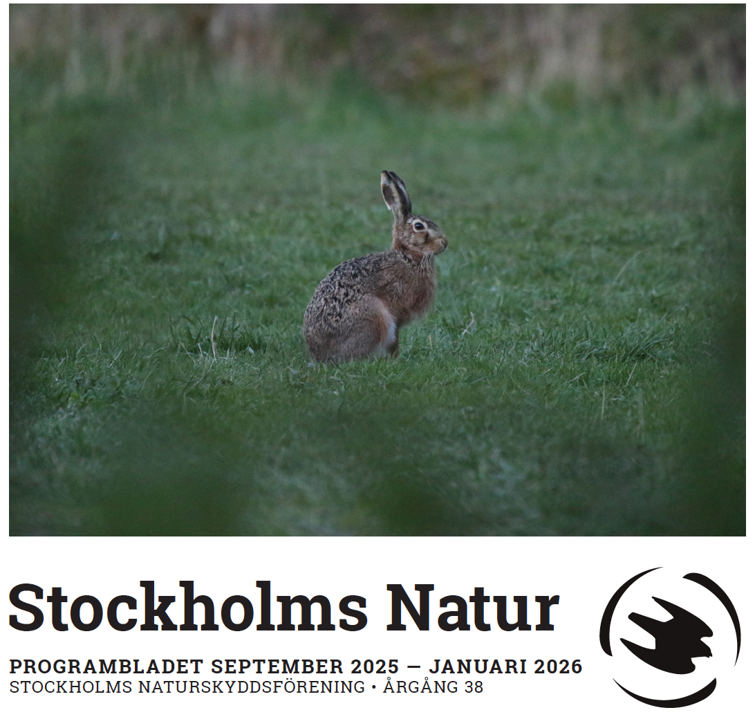 Programblad för Stockholms Naturskyddsförening