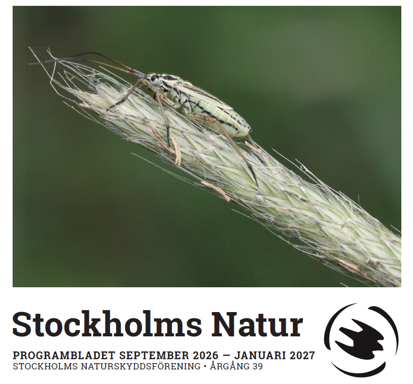 Programblad för Stockholms Naturskyddsförening